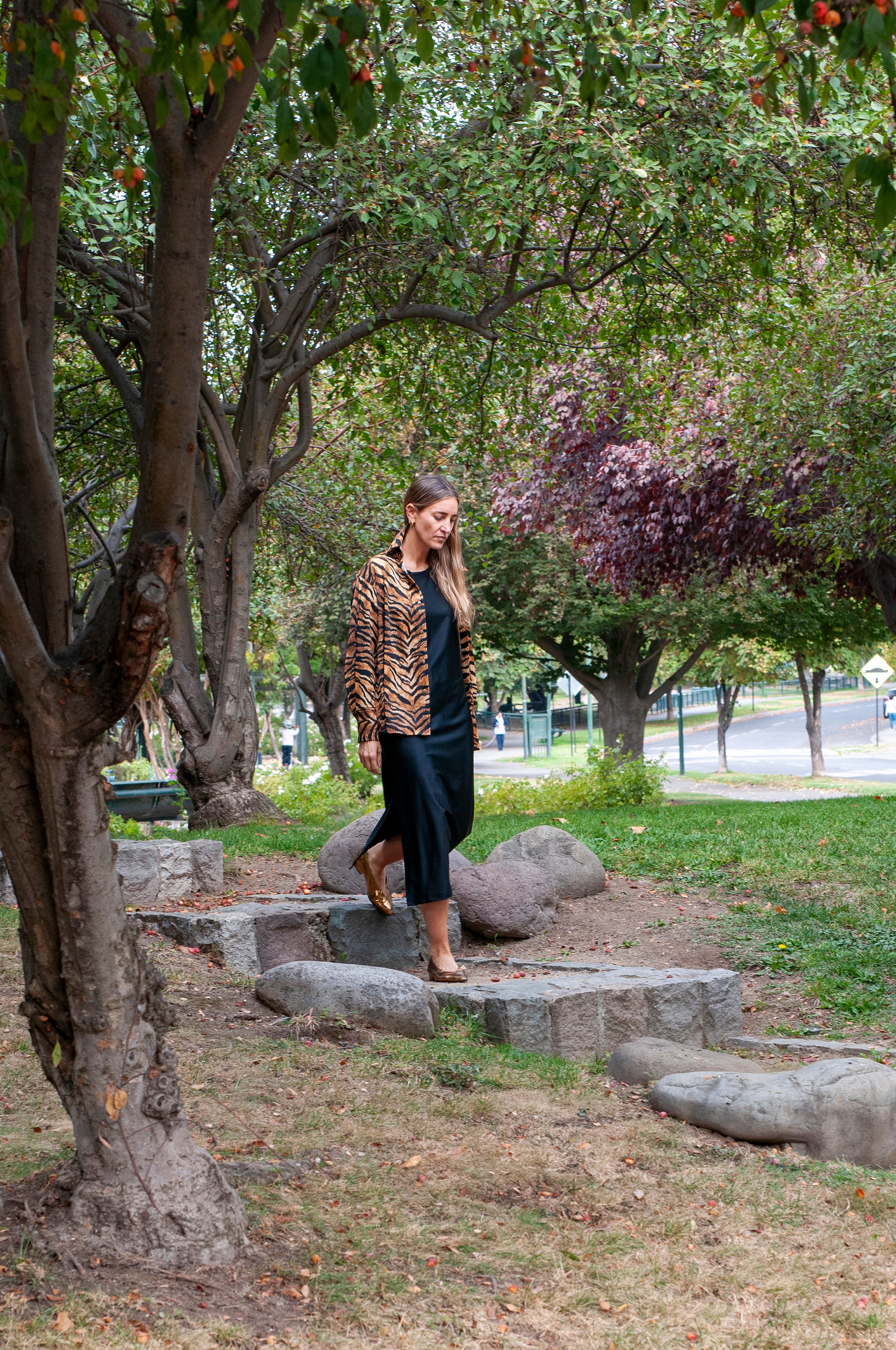 Camisa Mauritiana - Tigre Amarillo